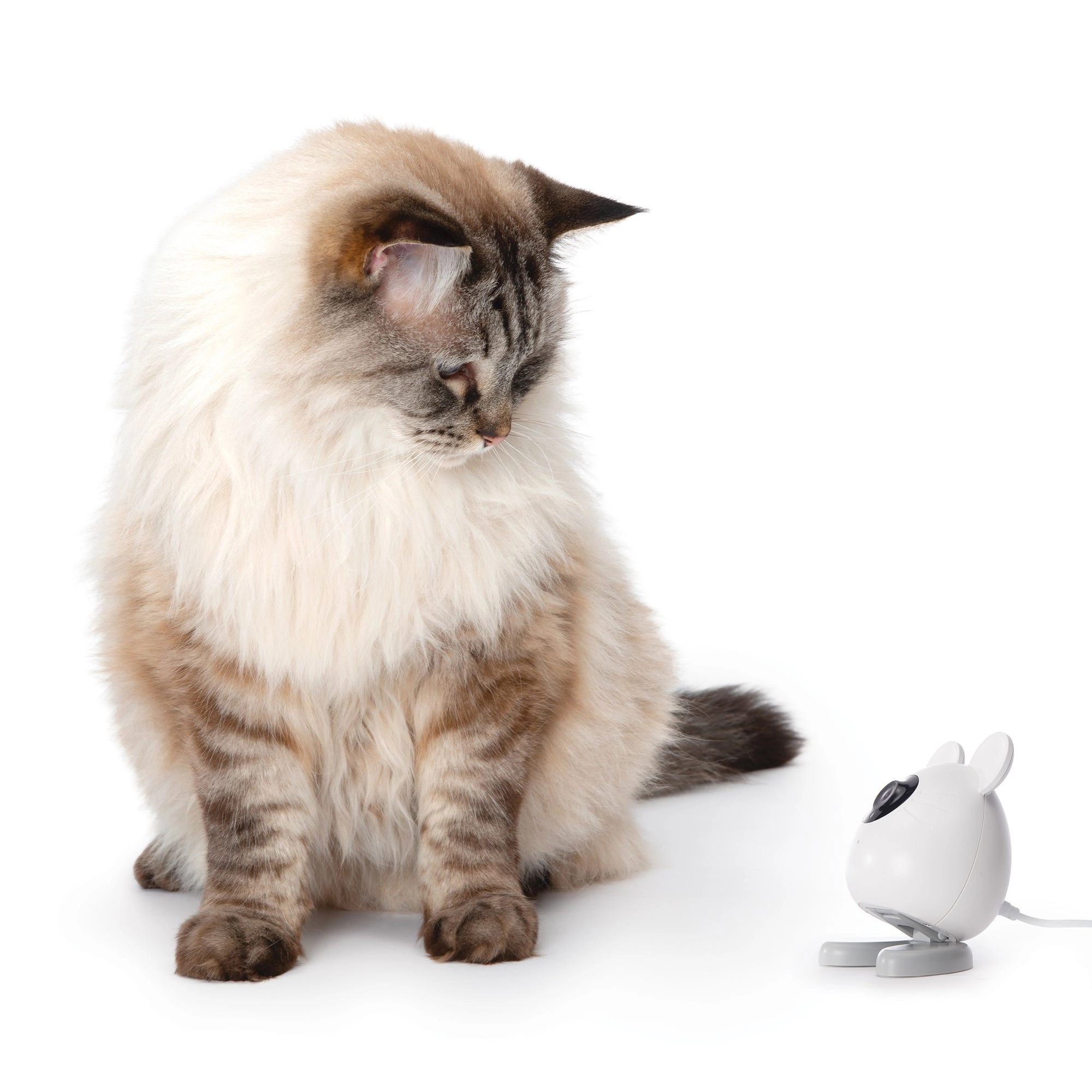Catit Pixi Smart Mouse Camera