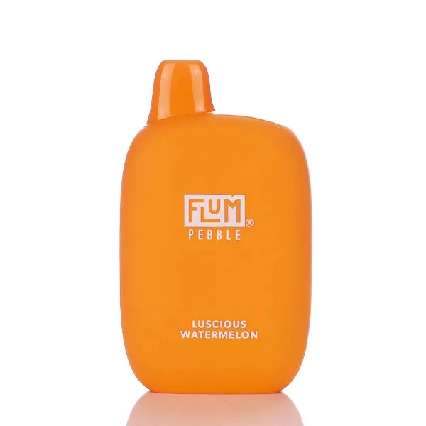 Flum Pebble 6000 Puffs Rechargeable Disposable Vape - 14ML