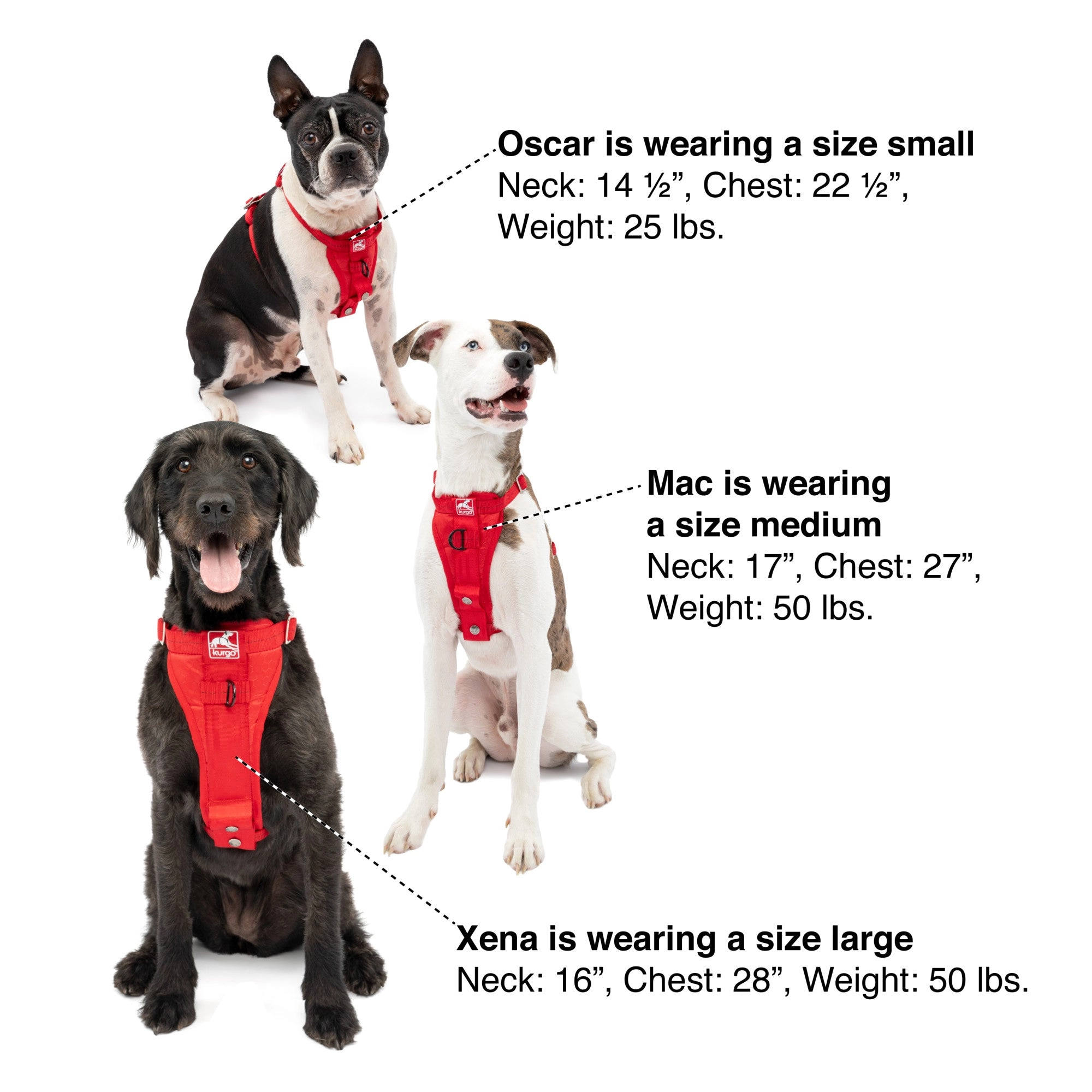 Kurgo Tru-Fit Enhanced Strength Dog Harness - Crash Tested Car Safety Harness for Dogs, No Pull Dog Harness, Includes Pet Safety Seat Belt, Black