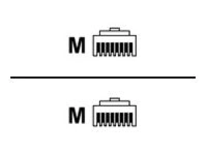 Lenovo - Network cable - RJ-45 (M) to RJ-45 (M) - 10 ft - CAT 6 4X97A83984